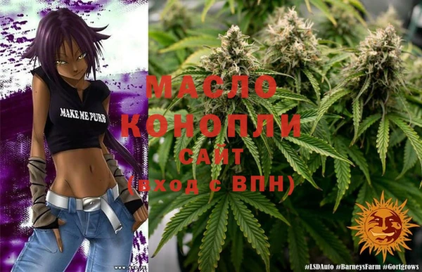 молекула духа Касимов