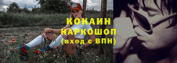 молекула духа Касимов